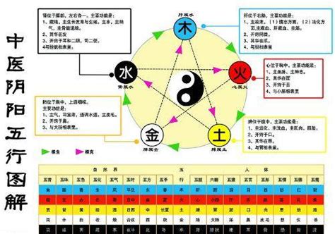 金 生 水|怎样理解五行理论中的“金生水”？